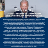 Daily Caller